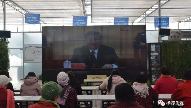 反响1.jpg 反响1.jpg