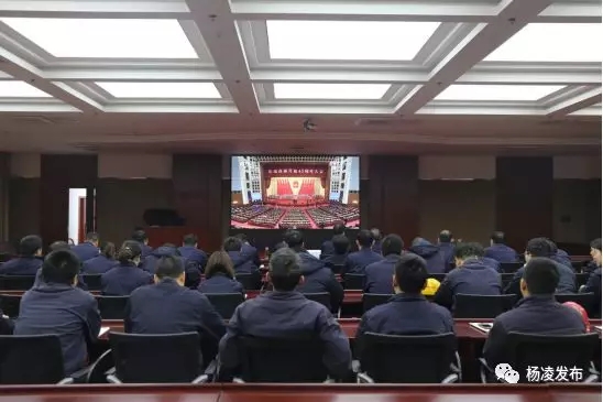 反响3.jpg 反响3.jpg