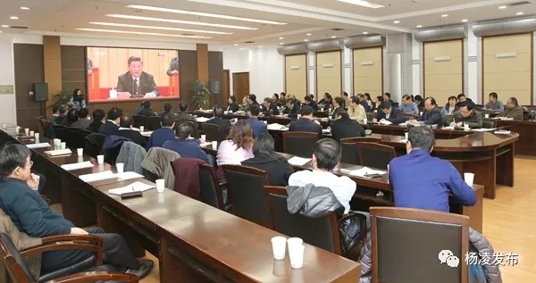 反响2.jpg 反响2.jpg