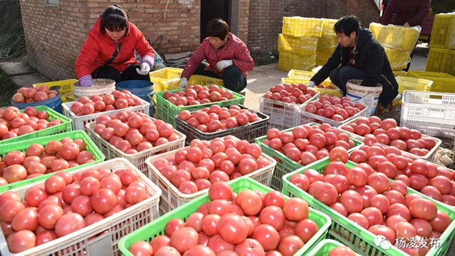 科技1.bmp 科技1.bmp