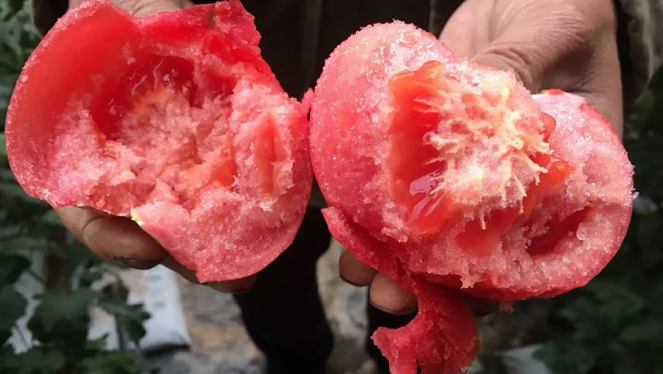 科技4.bmp 科技4.bmp