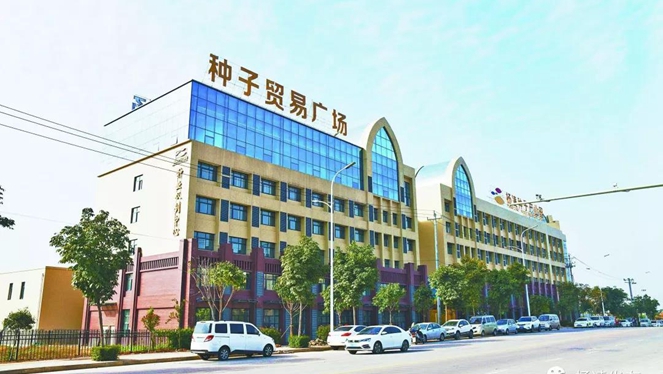 1541992629416029677.jpg 6.jpg