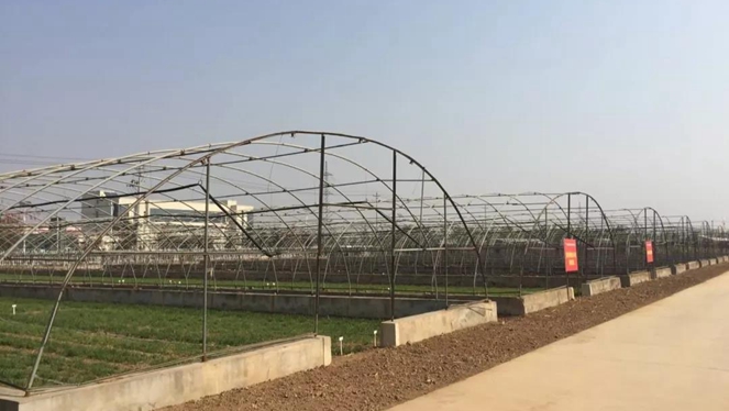 1541992605696012332.jpg 4.jpg