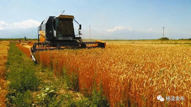 1541992639524010789.jpg 7.jpg