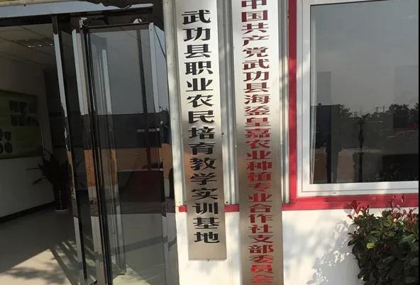 1541992598264063663.jpg 3.jpg