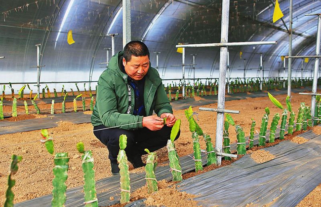 王中来.jpg 王中来.jpg