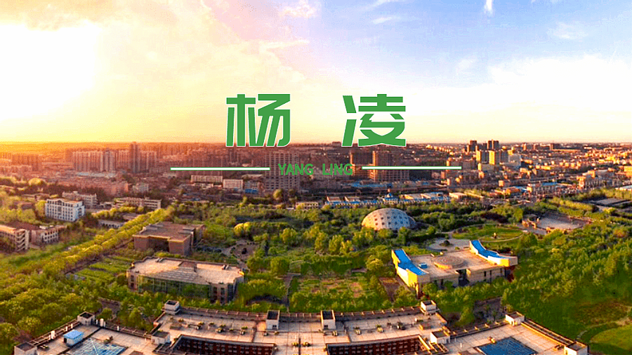 微信图片_20210108200500.png