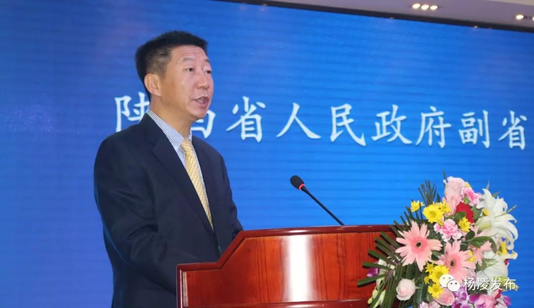 1541573138824033935.jpg 1541573138824033935.jpg