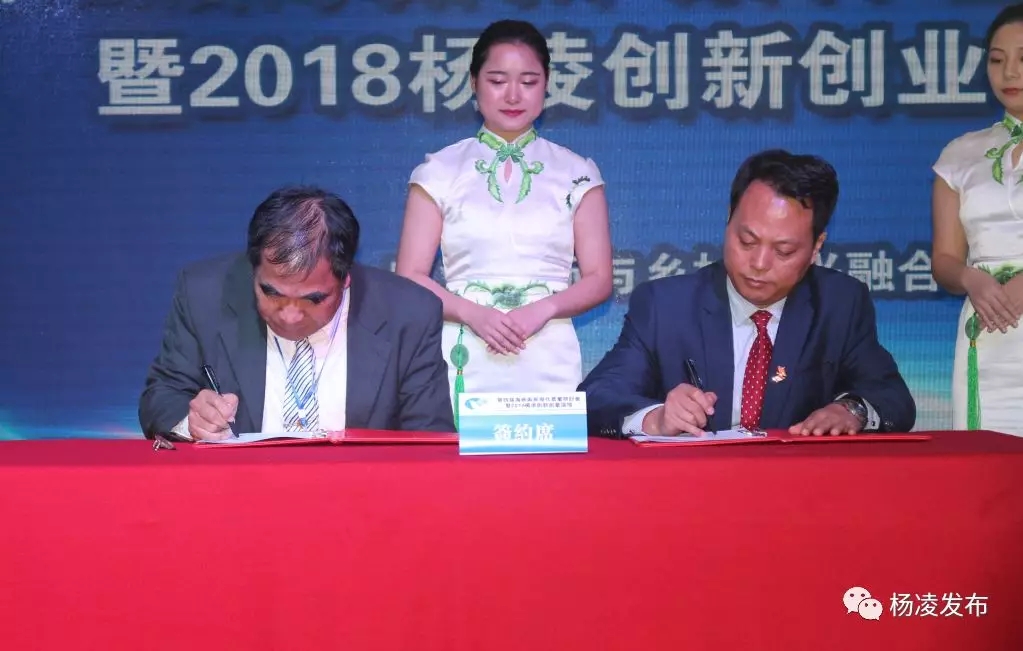 1541573256701029849.jpg 1541573256701029849.jpg