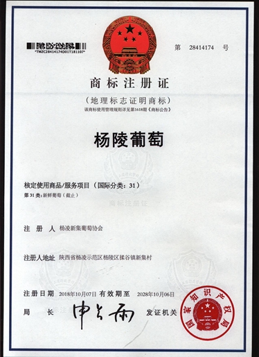 1543894826241028752.jpg 杨陵葡萄注册证.jpg