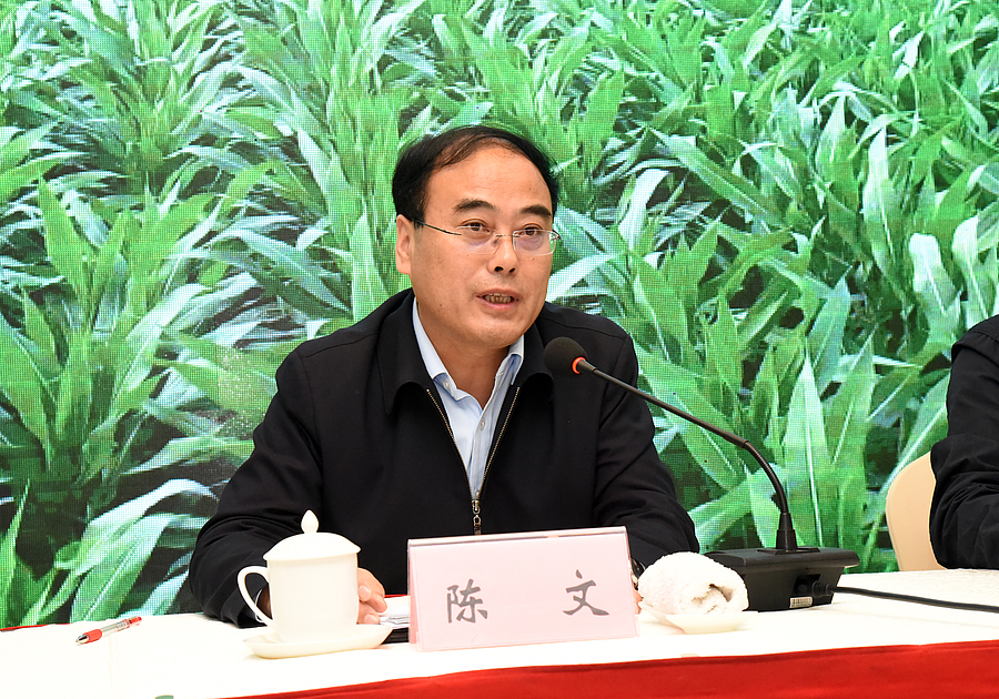 陈厅长1.jpg 陈厅长1.jpg