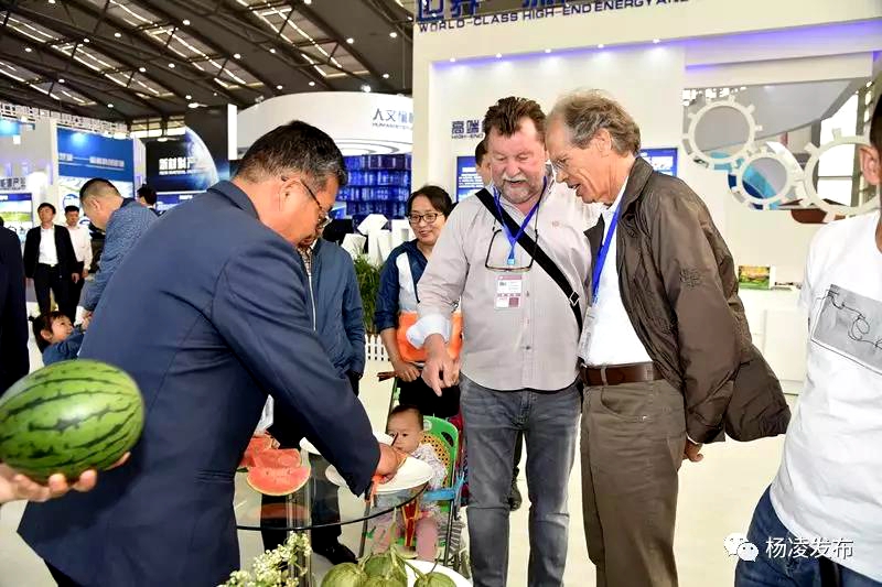 杨凌3.jpg 杨凌3.jpg