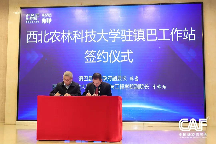 汉中3.jpg 汉中3.jpg