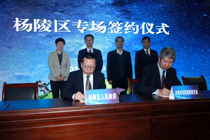 签约.jpg