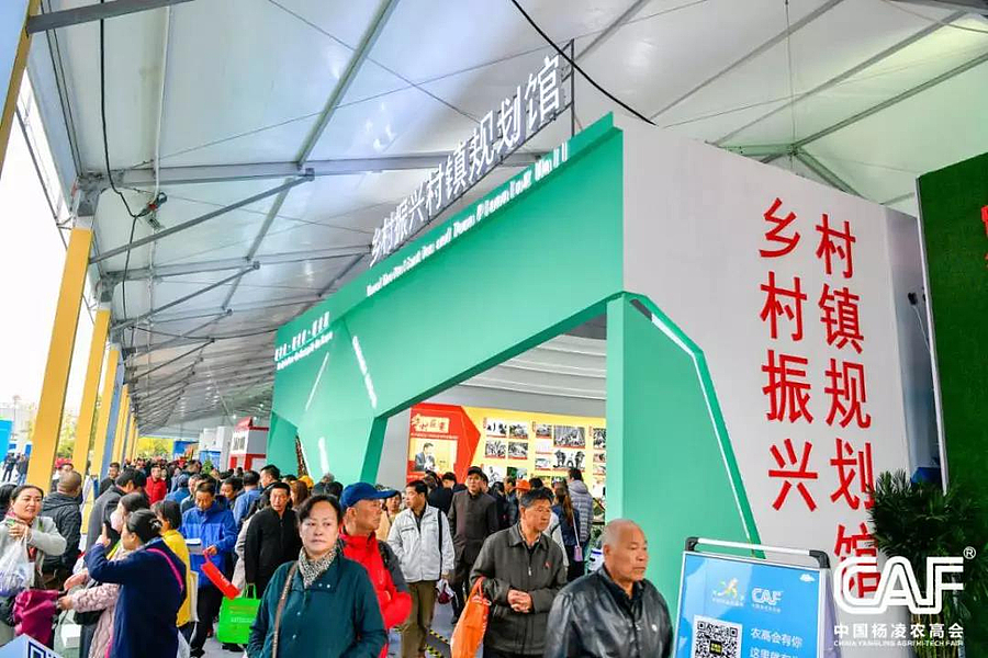 乡村振兴.jpg 乡村振兴.jpg