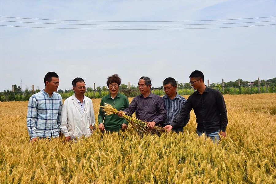 微信图片_20210615211930.jpg 微信图片_20210615211930.jpg