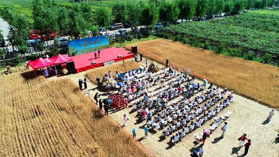 微信图片_20210615211815.jpg 微信图片_20210615211815.jpg