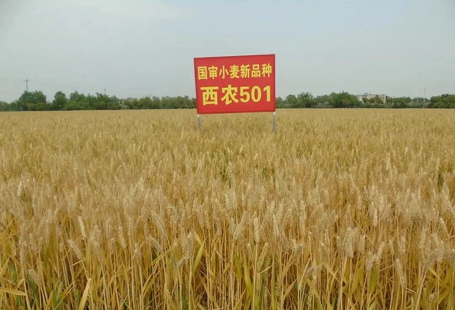 微信图片_20210406152736.jpg 微信图片_20210406152736.jpg