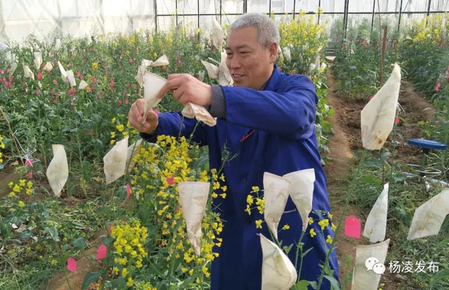 微信图片_20190203201629.jpg 微信图片_20190203201629.jpg