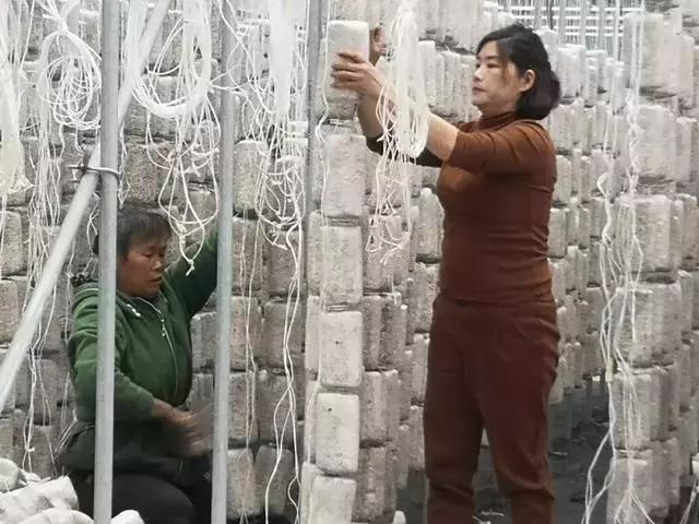 09ba9e415d8c468cabcfc2010fc2ea7c.jpeg 09ba9e415d8c468cabcfc2010fc2ea7c.jpeg