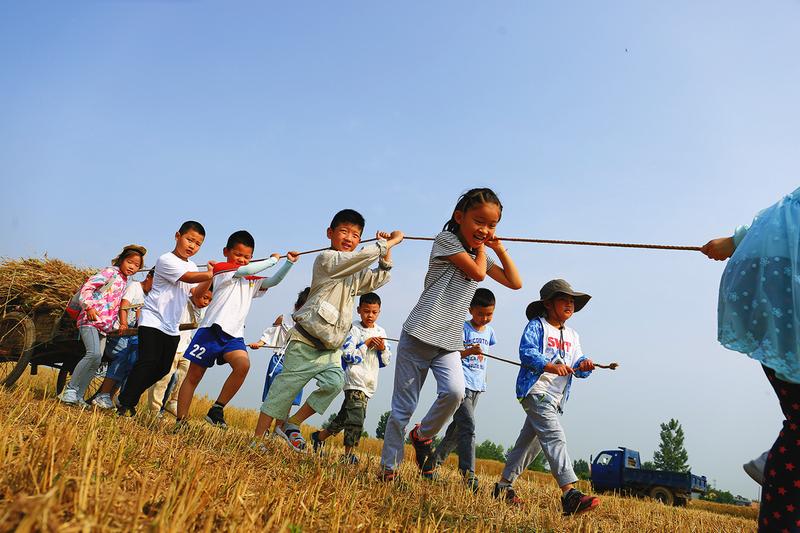 麦田.jpg 麦田.jpg