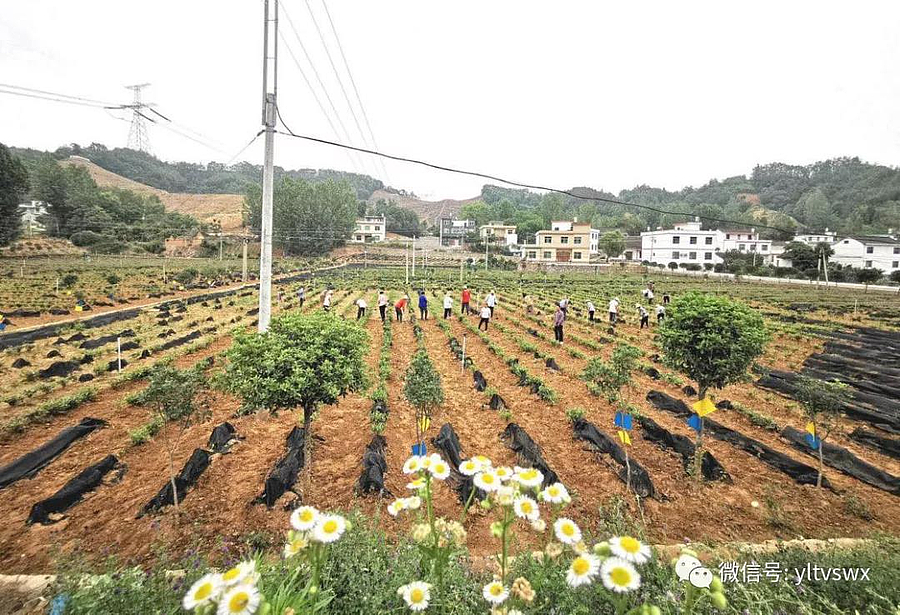 示范.jpg 示范.jpg