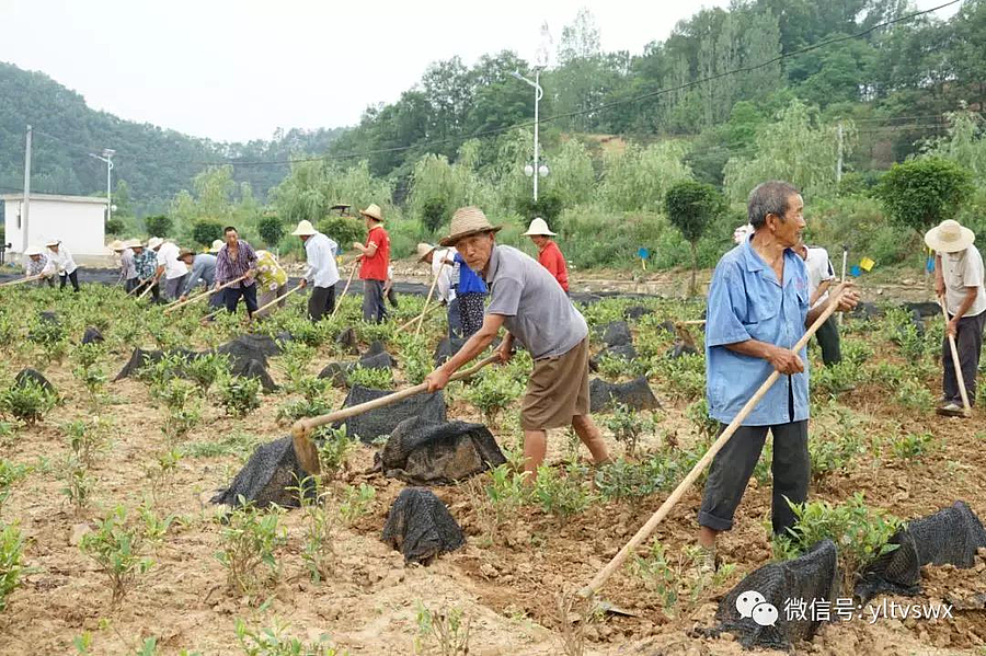 示范2.jpg 示范2.jpg