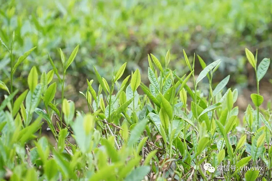 示范4.jpg 示范4.jpg