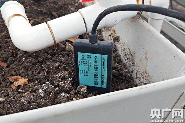 W020190626362284399046.jpg W020190626362284399046.jpg