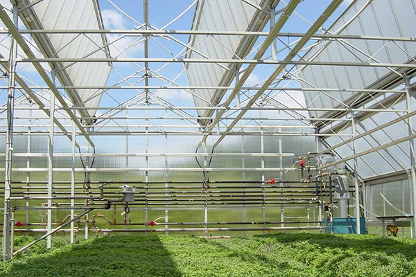 W020190626362284530459.jpg W020190626362284530459.jpg