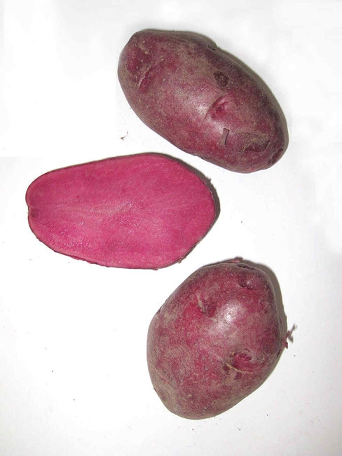 彩色3.jpg 彩色3.jpg