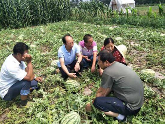 MAIN201909021305000584806768356.jpg MAIN201909021305000584806768356.jpg