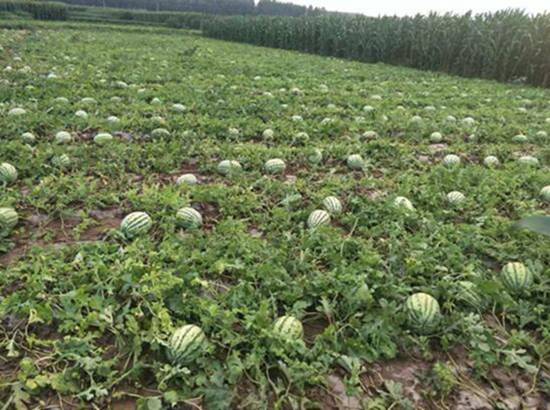 MAIN201909021307000244777800461.jpg MAIN201909021307000244777800461.jpg