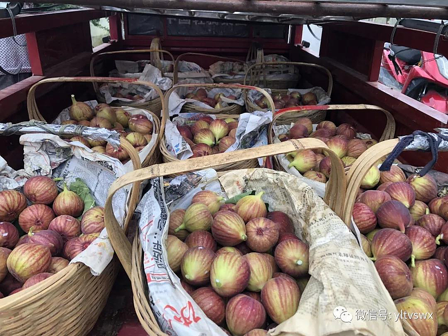 微信图片_20190905140722.jpg 微信图片_20190905140722.jpg