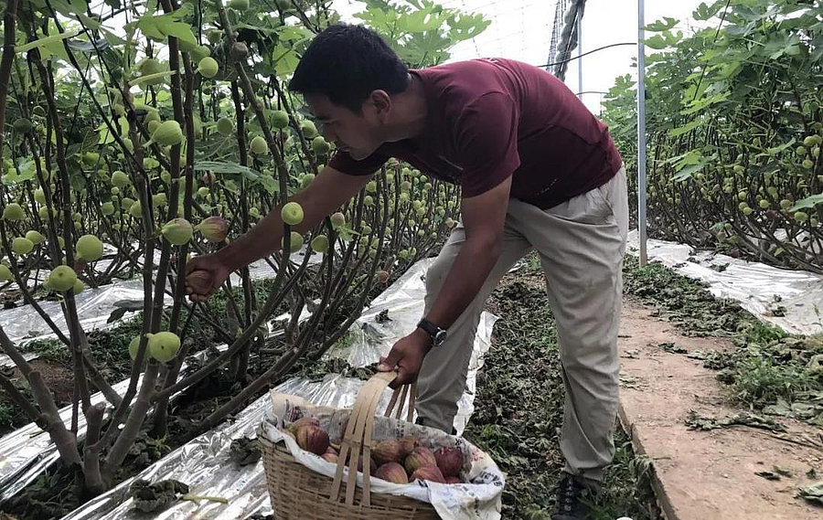 微信图片_20190905140717.jpg 微信图片_20190905140717.jpg