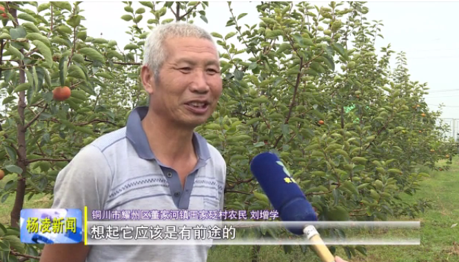 20190916184556.png 20190916184556.png