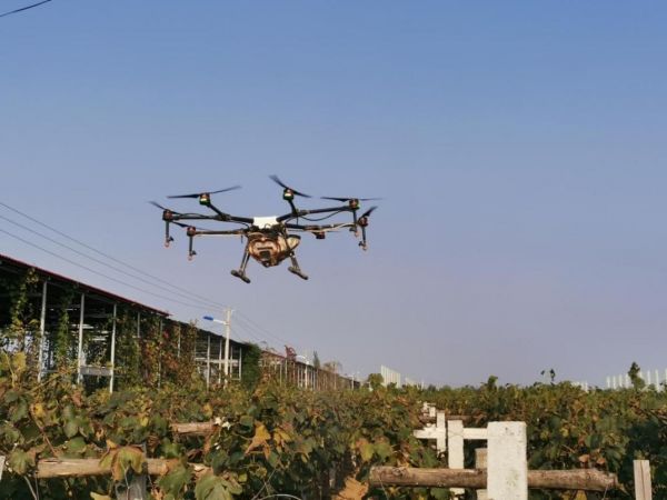 1570499026929.jpg 1570499026929.jpg