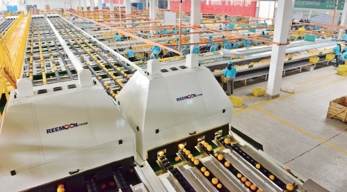 产业苹果.jpg 产业苹果.jpg