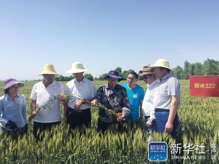 新华1.jpg 新华1.jpg