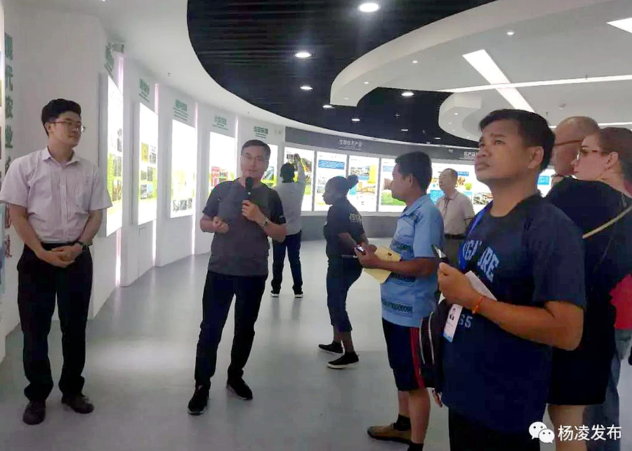 一带一路3.jpg 一带一路3.jpg