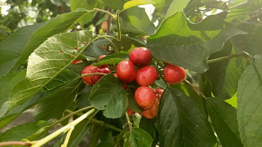 微信图片_20200518111506.jpg 微信图片_20200518111506.jpg