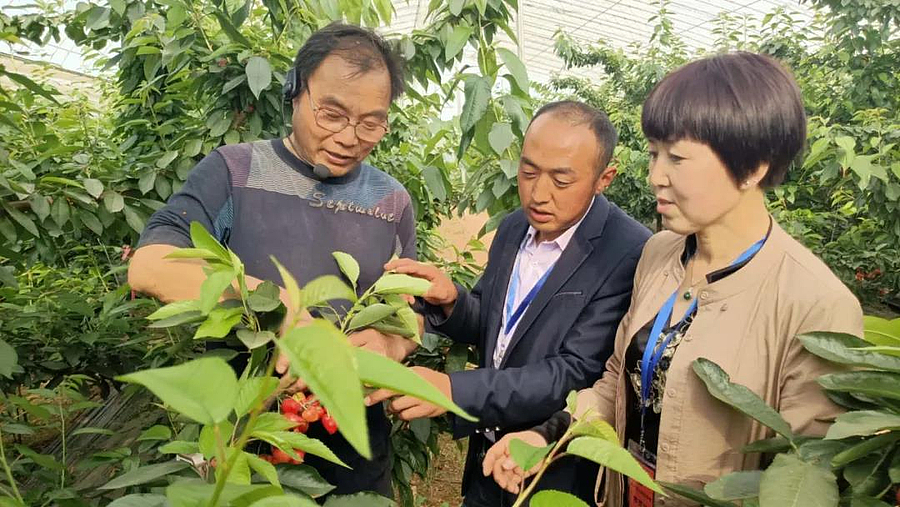 微信图片_20200518111408.jpg 微信图片_20200518111408.jpg