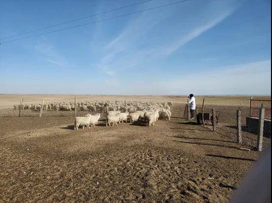 微信图片_20200610095705.jpg 微信图片_20200610095705.jpg