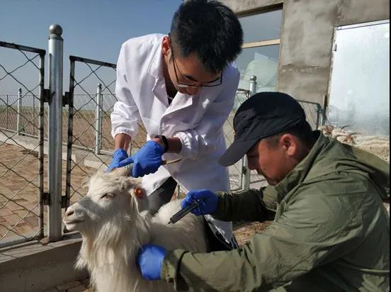 微信图片_20200610095709.jpg 微信图片_20200610095709.jpg