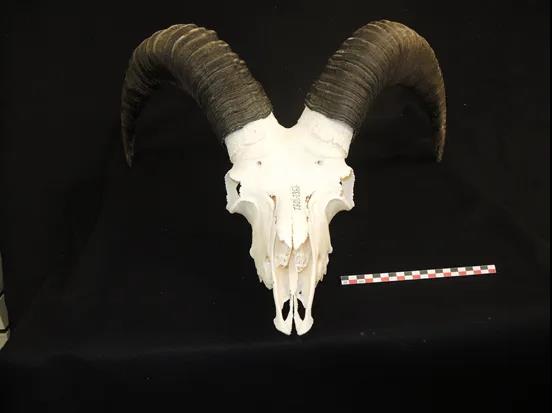 微信图片_20200610095701.jpg 微信图片_20200610095701.jpg