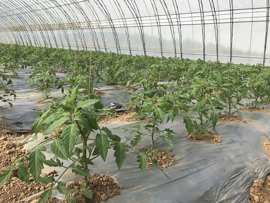 微信图片_20210419194647.jpg 微信图片_20210419194647.jpg