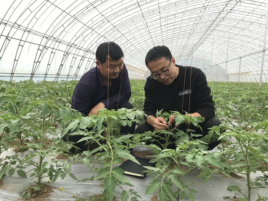 微信图片_20210419194650.jpg 微信图片_20210419194650.jpg