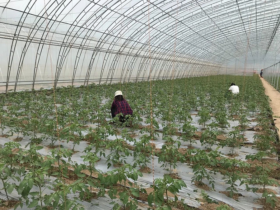 微信图片_20210419194657.jpg 微信图片_20210419194657.jpg