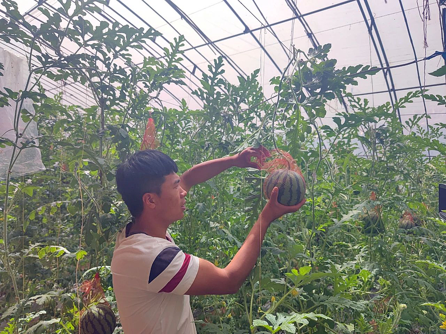 微信图片_20210510180804.jpg 微信图片_20210510180804.jpg