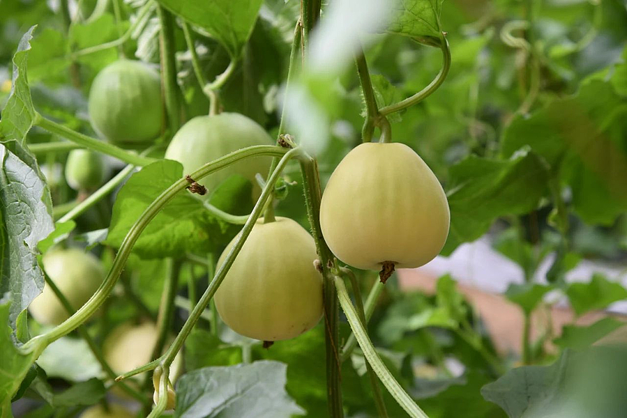 微信图片_20210510180802.jpg 微信图片_20210510180802.jpg